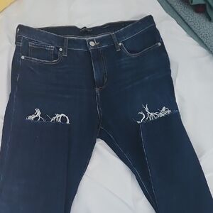 Banana Republic Navy Distressed Skinny Jeans
